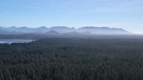 Bosque-De-Coníferas-En-Un-Día-Soleado-Y-Brumoso,-Vista-Aérea-De-Montañas-Distantes