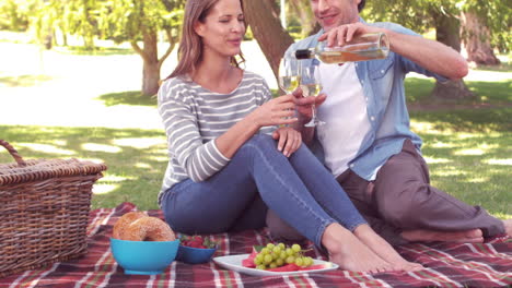 smiling couple drinking wine on picnic blanket