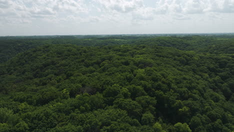 Parque-Estatal-Great-River-Bluffs-Con-Amplias-Vistas-Del-Bosque-En-Minnesota,-Estados-Unidos