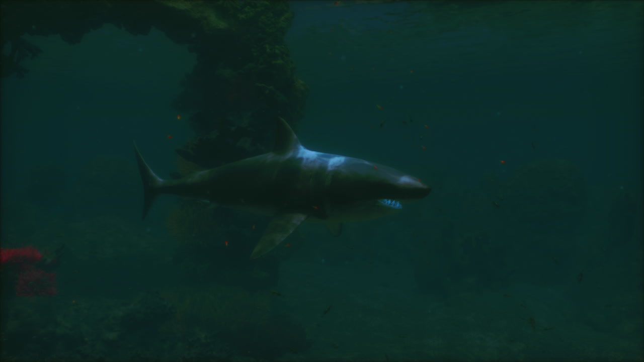 활기찬 수중 서식지를 헤엄치는 큰  상어