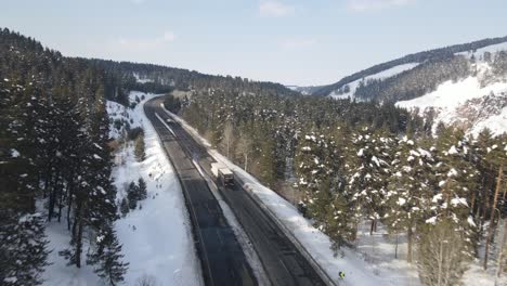 winter forest in highway