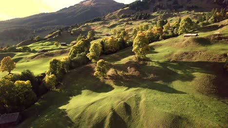 aerial-drone-footage-pushing-in-turning-right-flying-over-alpine-meadows-in-Switzerland