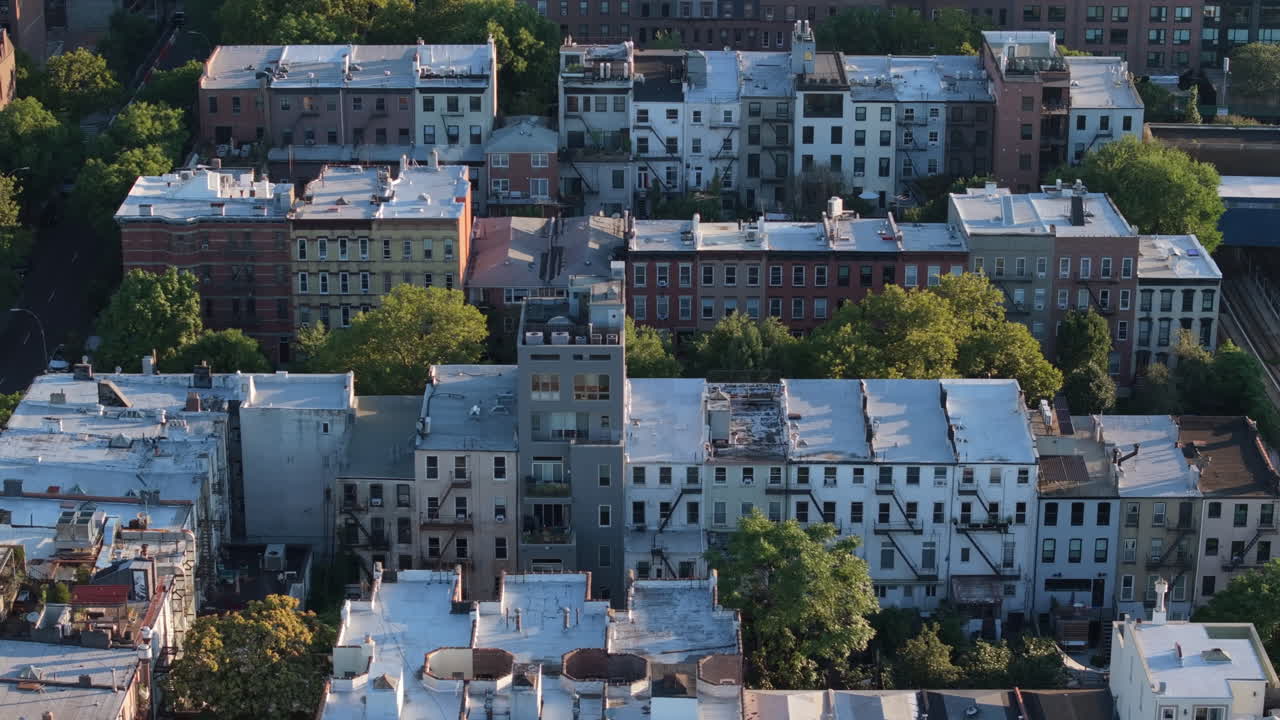 Shot during the summer of 2024 in Gowanus, Brooklyn.