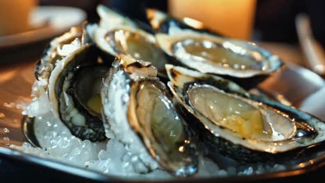 ostras frescas en un plato