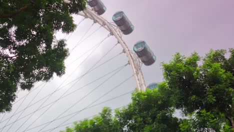 day light singapore city famous flyer cabins park tree view 4k time lapse