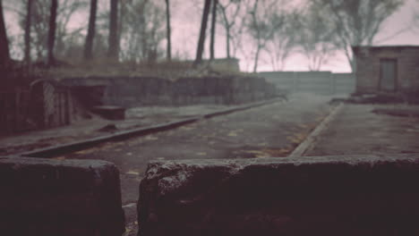 viejos garajes abandonados en el bosque