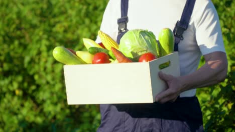 happy senior farmer is holding a box of organic vegetables and look at camera