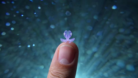 tiny purple octopus on a finger