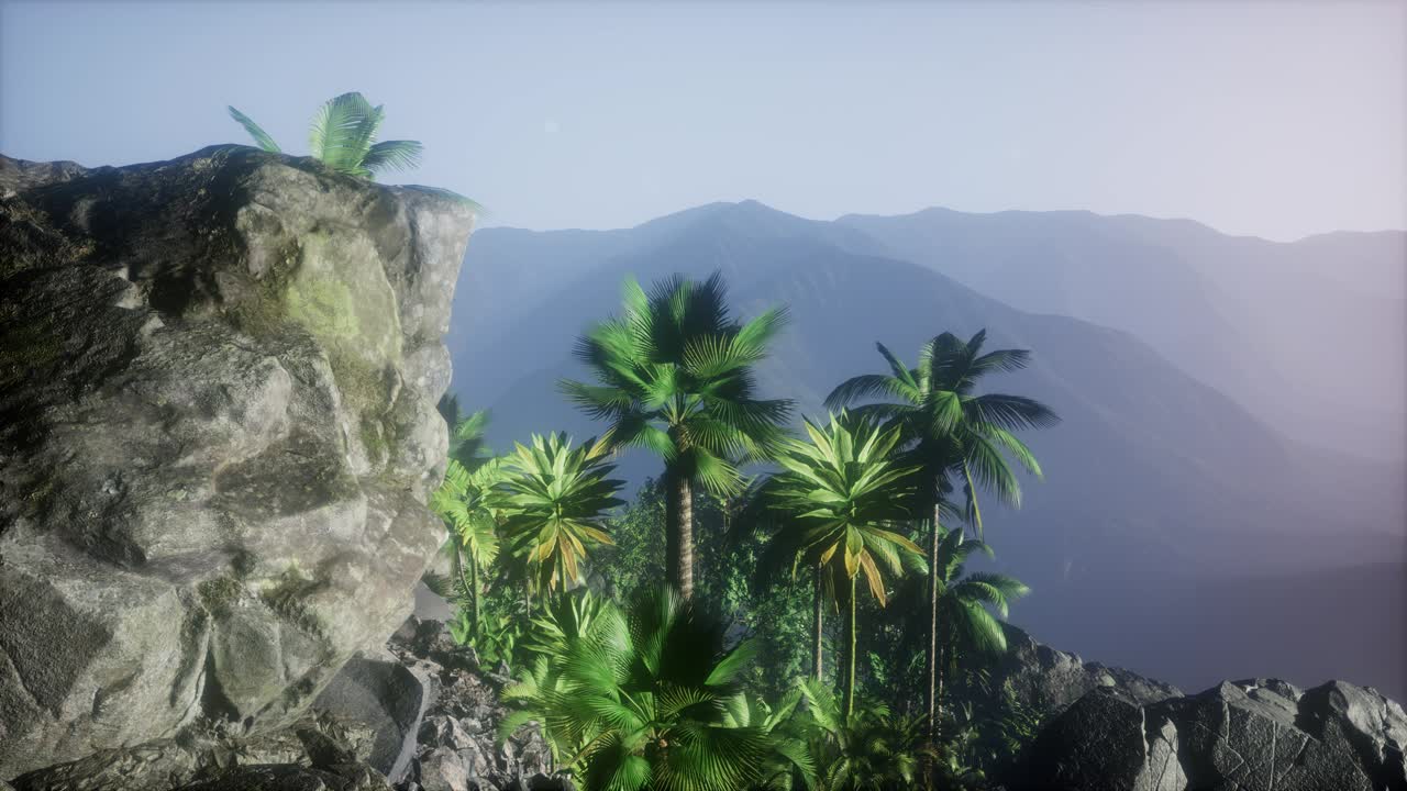 Sunset Beams through Palm Trees