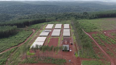 aerial footage showcasing a horticultural production facility in misiones, argentina