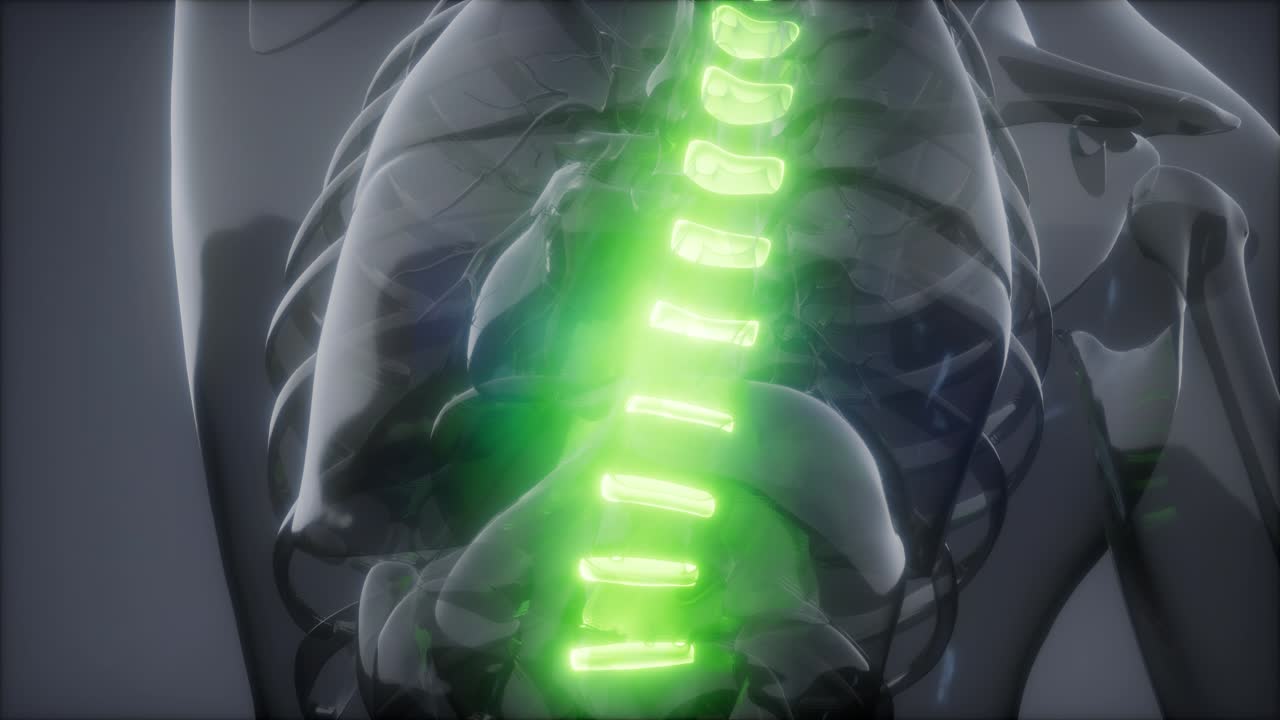 허리  ⁇ 에 허리 통증