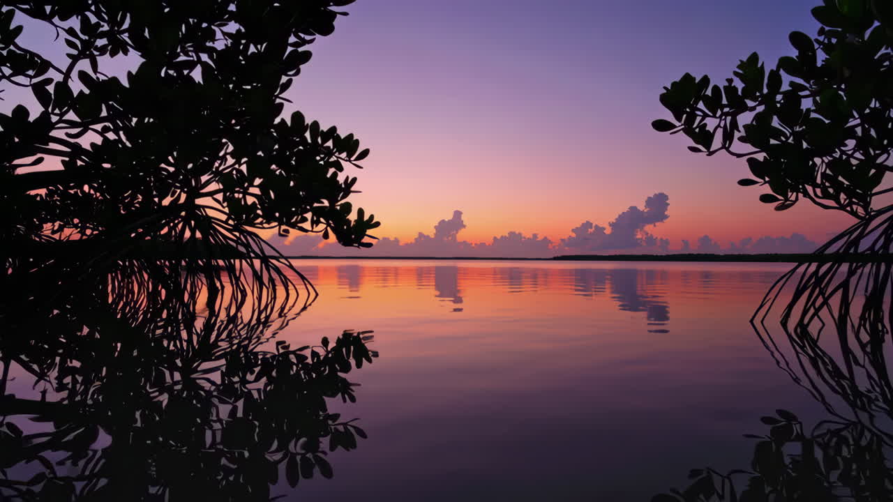 Sunrise over a Mangrove Marsh