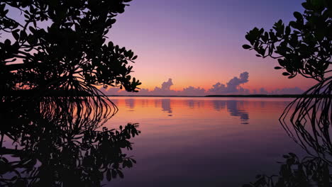 sunrise over a mangrove marsh
