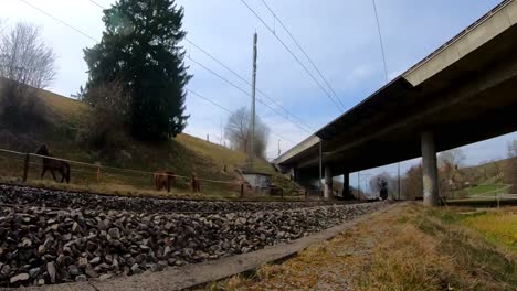 Steam-train-BR01-Pacific-01-202-passing-by-Schüpfen-Bern-Switzerland