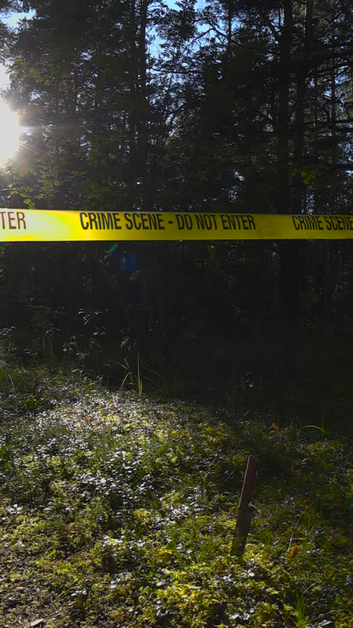 Crime scene evidence knife stabbed in a hiking road at a sunny dense and thick forest with a yellow police crime scene forensic investigation tape hanginv above it. Sun rays and lense flare visible