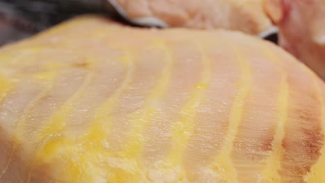 closeup of raw fish fillet