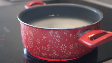 red christmas pot on stove