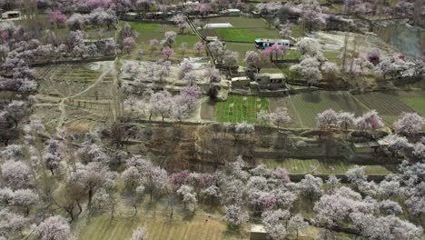 backward drone shot of blossom in skardu, pakistan during daytime