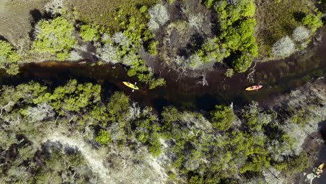 Vista-De-Arriba-Hacia-Abajo-De-Los-Visitantes-En-Kayak-A-Través-Del-Bosque-De-Manglares-En-La-Isla-Fraser-En-Queensland,-Australia