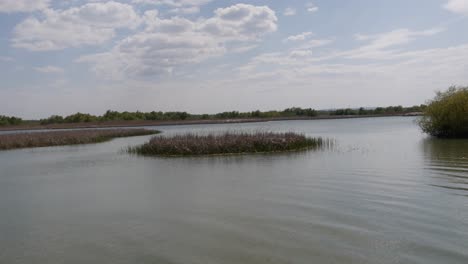 nature reserve delta of the danube river