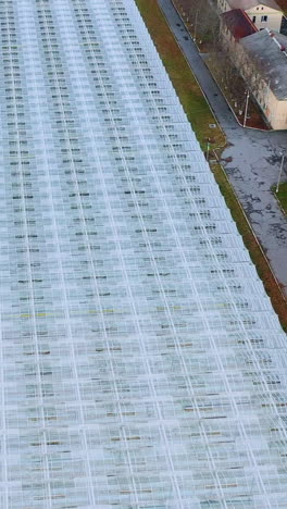 industrial greenhouses aerial top view. glass greenhouses for growing vegetables. vertical video