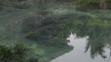 sacred-springs-at-Pura-Gunung-Kawi-Sebatu-Temple-in-Bali,-Indonesia