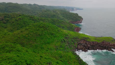 vista aérea del bosque verde y la colina en la costa con grandes olas marinas