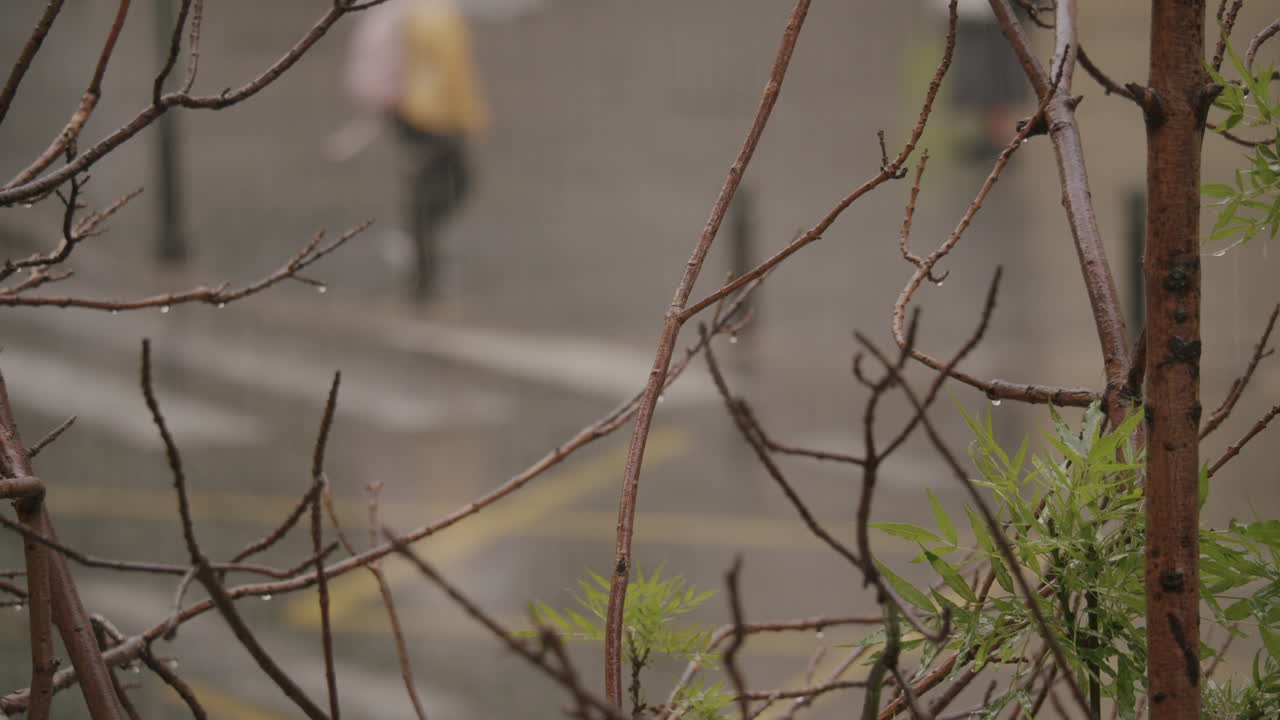 도시에서 많은 비가 내리고 있습니다.