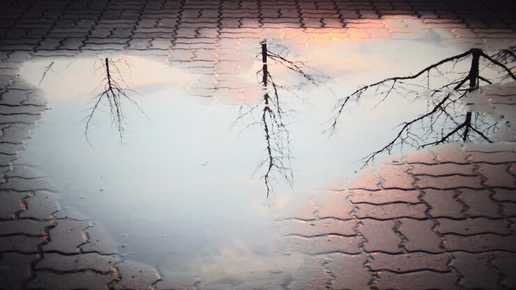 Puddle reflection of the tree and sky after rain on the street