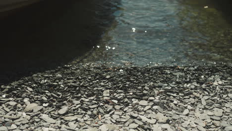 clear water runs on beach covered with smooth pebbles on sunny day. empty sea coast with wet rock surfline at summer resort. small waves and stones