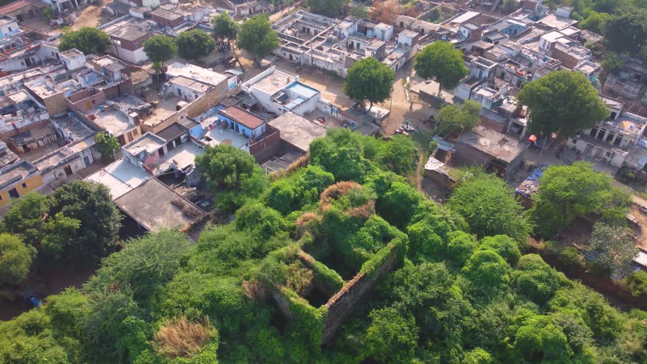 Aerial shot of a small fort covered with forest in a village of north india