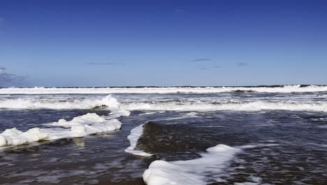 surf wave approaching the shore.