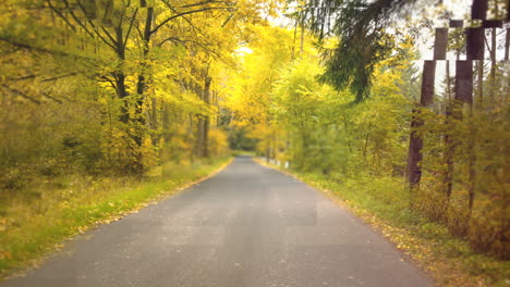 digitally generated video of road with trees 4k