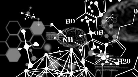 animación de fórmulas químicas de adn sobre el procesamiento de datos