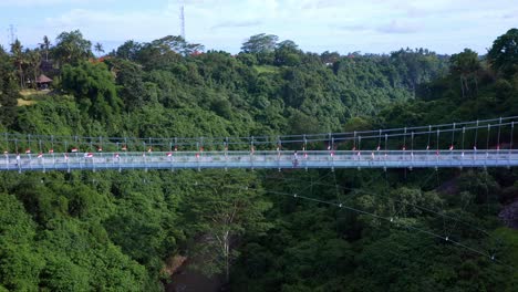 aerial view of breathtaking blangsingah glass bridge with verant forest and river