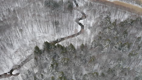 primera nevada de invierno en un paisaje boscoso remoto con un arroyo sinuoso a través de árboles desnudos y suelo cubierto de nieve visto desde un dron que vuela por encima