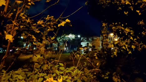 A-firework-is-being-lit-in-a-park-in-London-with-traffice-seen-behind