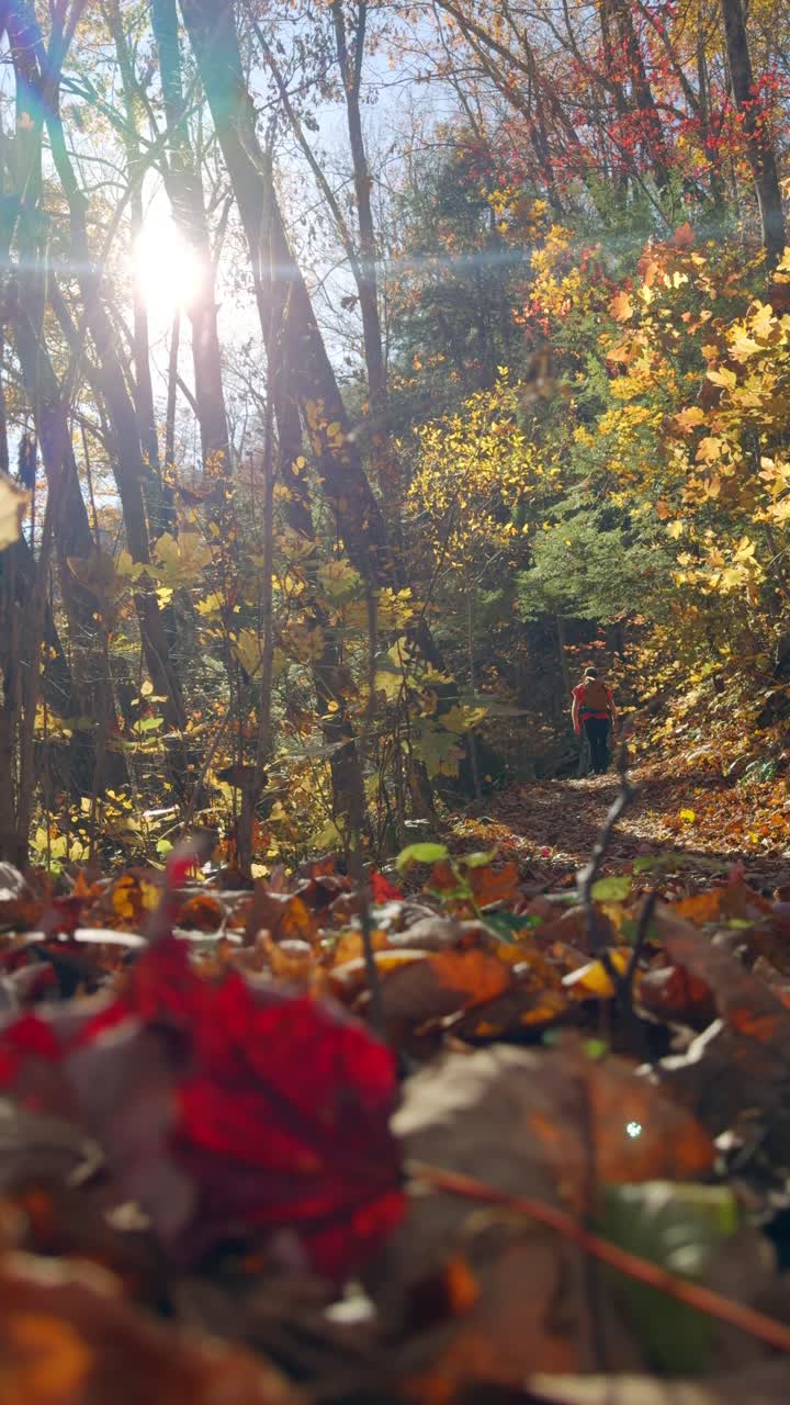 Ground-Level Shot: Backpacker Strolls Autumn Trail in Vibrant Foliage