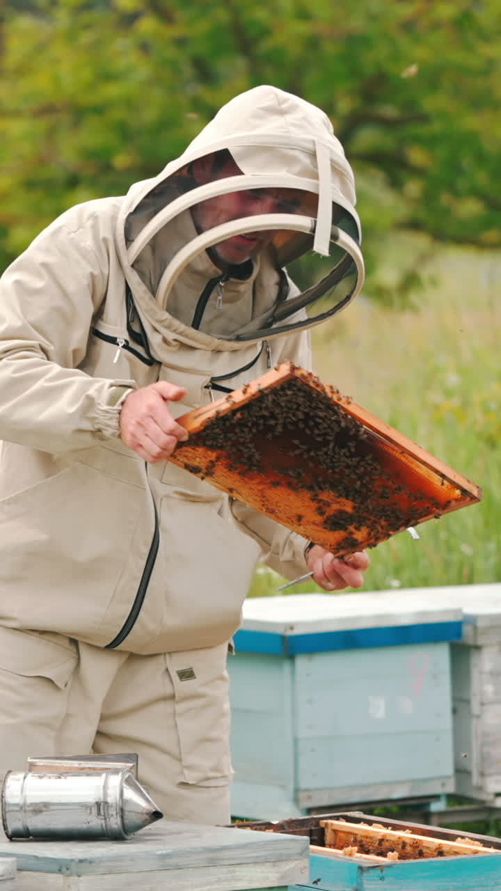 Apiculturist in protective clothes and hat looks carefully at the honey frame. Beekeeper examining the honey harvest. Vertical video