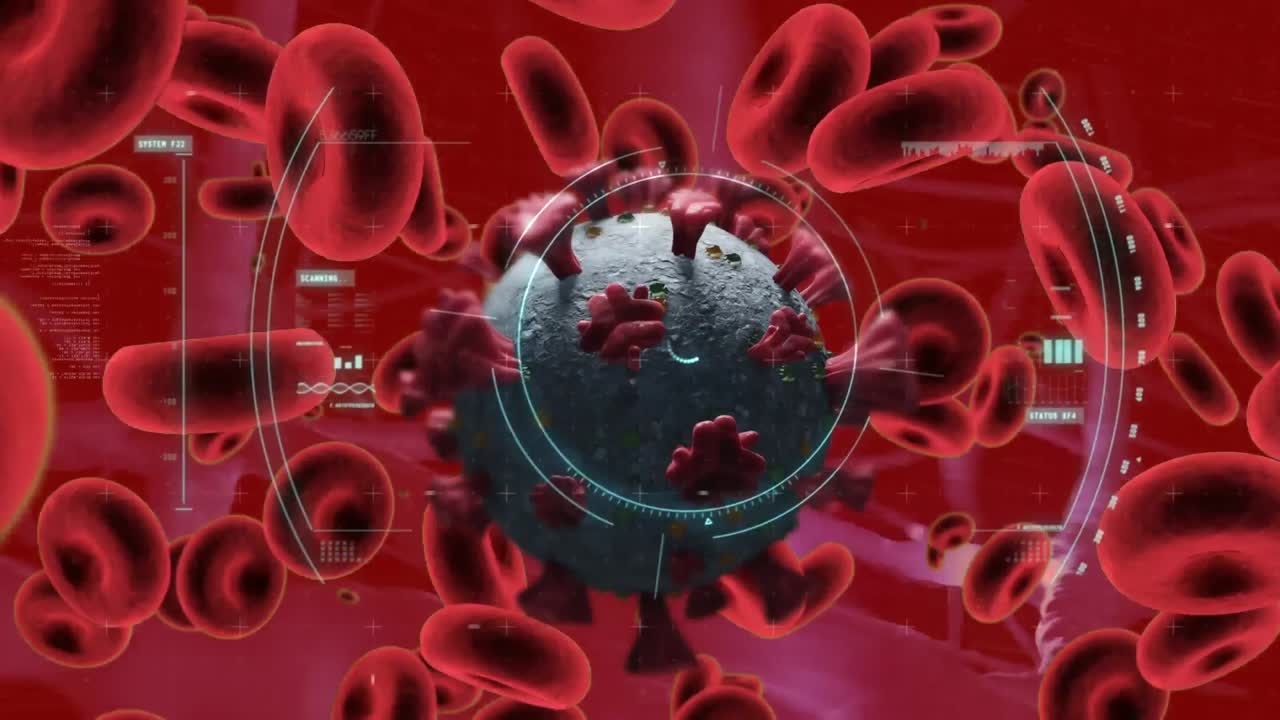animación de células de covid-19 y glóbulos rojos flotando con escaneo de alcance