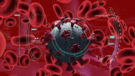 Animation-of-covid-19-cell-and-red-blood-cells-floating-with-scope-scanning