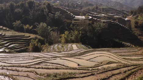 Mountain-views-with-layers-of-bright-green-rice-terraces-in-the-mountains-of-Sapa,-Vietnam