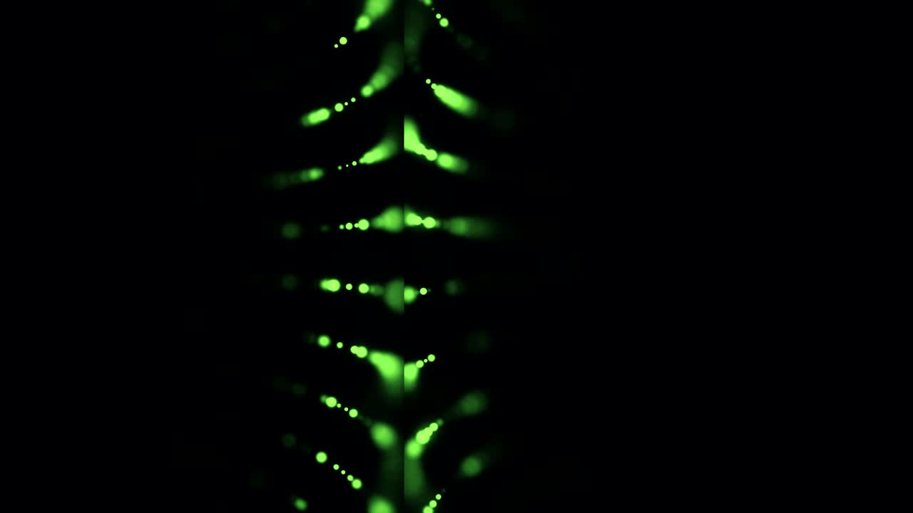 Abstract Green Light Pattern