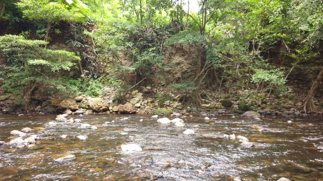aguas blancas cristalinas que fluyen río abajo sobre piedras y guijarros que forman el lecho del río