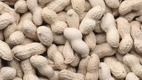 rotating pile of raw peanuts with shells