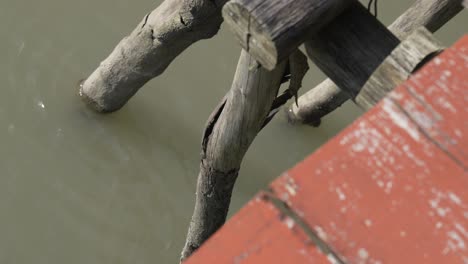 wood stilt underwater home over water structure vietnam way of living southeast asia