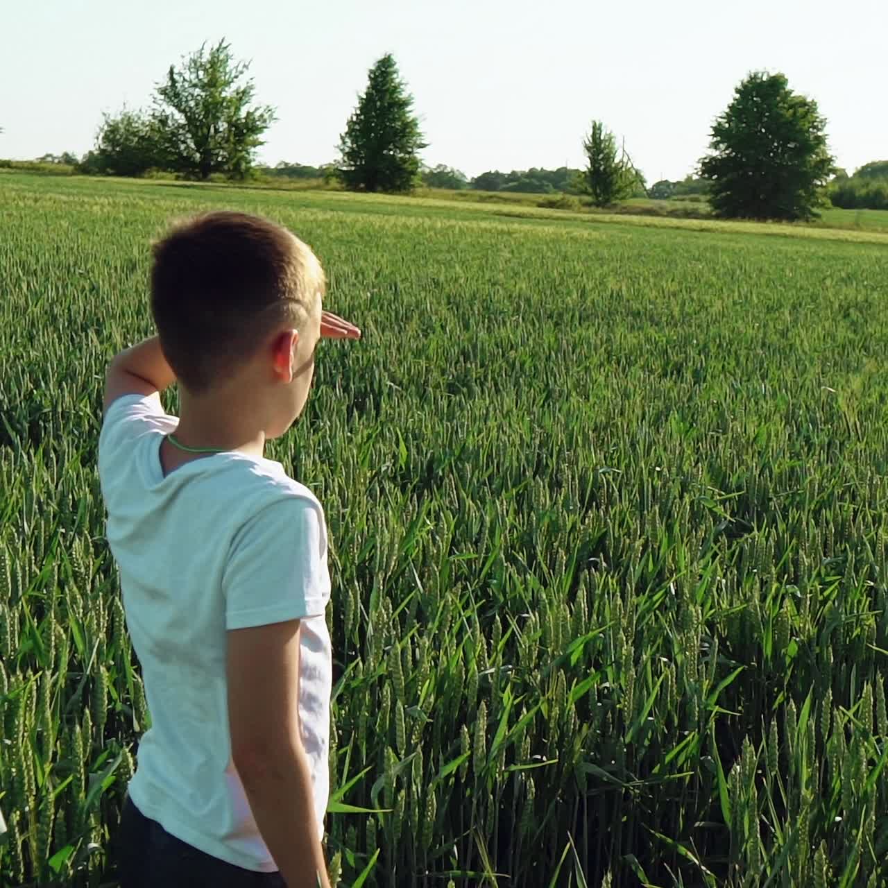 boy running on the green field at sunset
