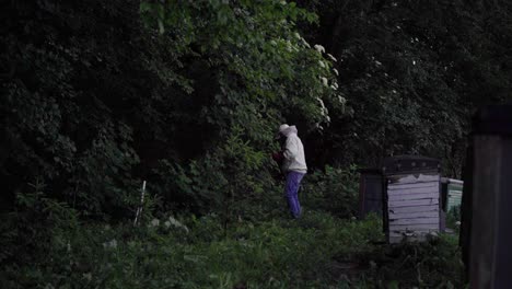 a man mows the grass in an apiary in the countryside