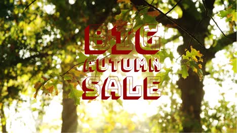 Digitally-generated-video-of-autumn-sale-4k