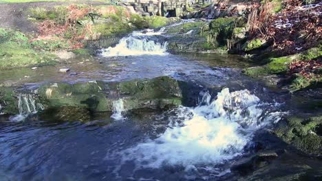 water in a creek in christieparken in bergen, norway